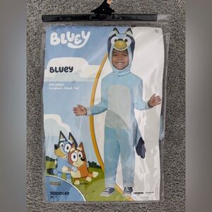 Bluey Costume